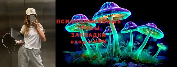 мдпв Арсеньев
