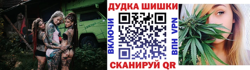 kraken как войти  Каргополь  Марихуана планчик 
